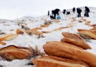 ERZURUM ESNAFINDAN AFETLERE KARŞI ÖRNEK DAVRANIŞ