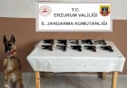 Oltu’da Ruhsatsız 10 Tabanca Ele Geçirildi