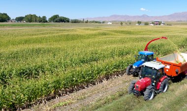 ÇİFTÇİLERDEN BAŞKAN SEKMEN'E TARIM MAKİNALARI TEŞEKKÜRÜ