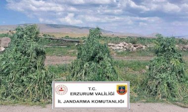 Erzurum’da Jandarmadan Zehir Tacirlerine Büyük Darbe
