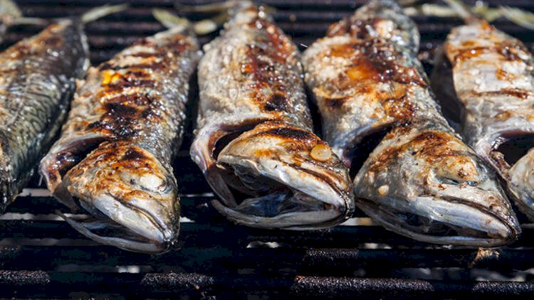 En fazla omega 3 içeren balık somon değil, uskumru!
