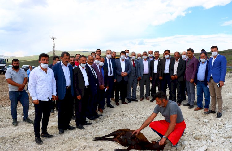 Çat Belediyesi kendi parkesini üretecek