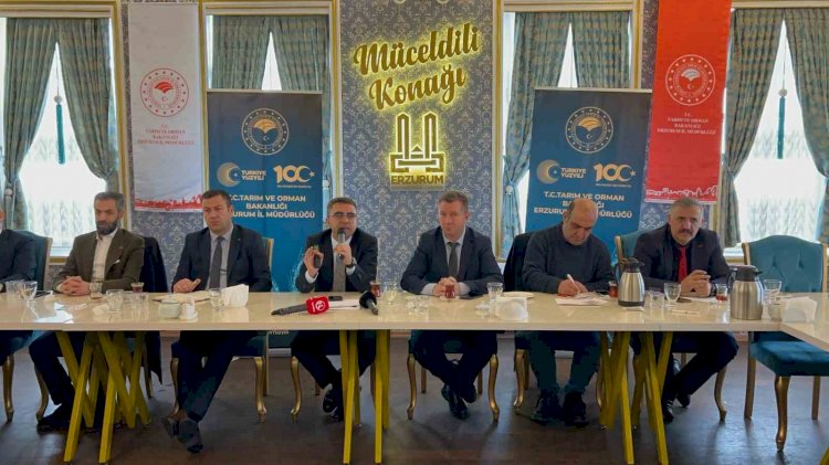 Erzurum Büyükbaş Hayvan Sayısı ile Türkiye’de Üçüncü Sırada Yer Alıyor