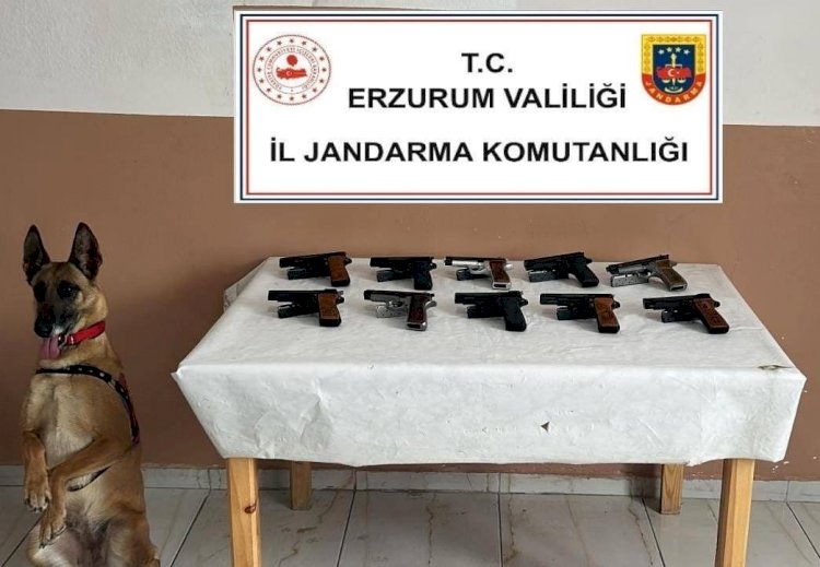 Oltu’da Ruhsatsız 10 Tabanca Ele Geçirildi