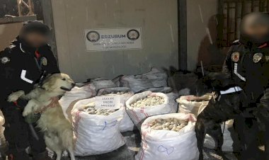 Erzurum Emniyetinden Uyuşturucuya Geçit Yok