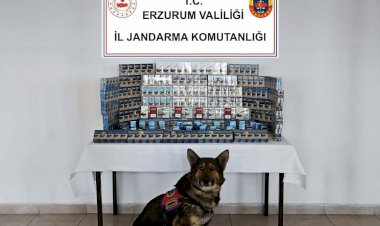 Mart Ayında Jandarmadan Kaçakçılıkla Mücadele Operasyonları