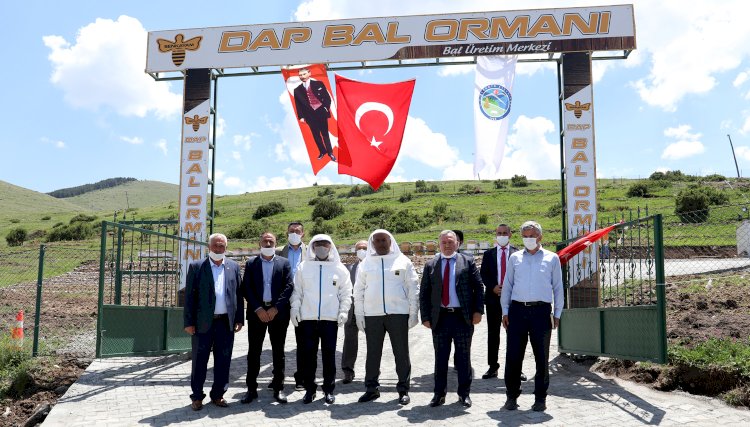 BAŞKAN SEKMEN 
